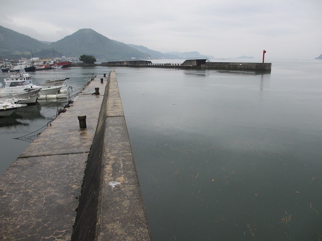広島県安浦港の釣りポイント
